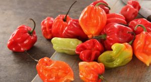scotch bonnet