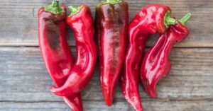 Carmen Pepper
