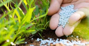 Fertilizer Efficiency