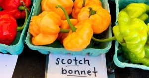 Store Fresh Scotch Bonnet Peppers